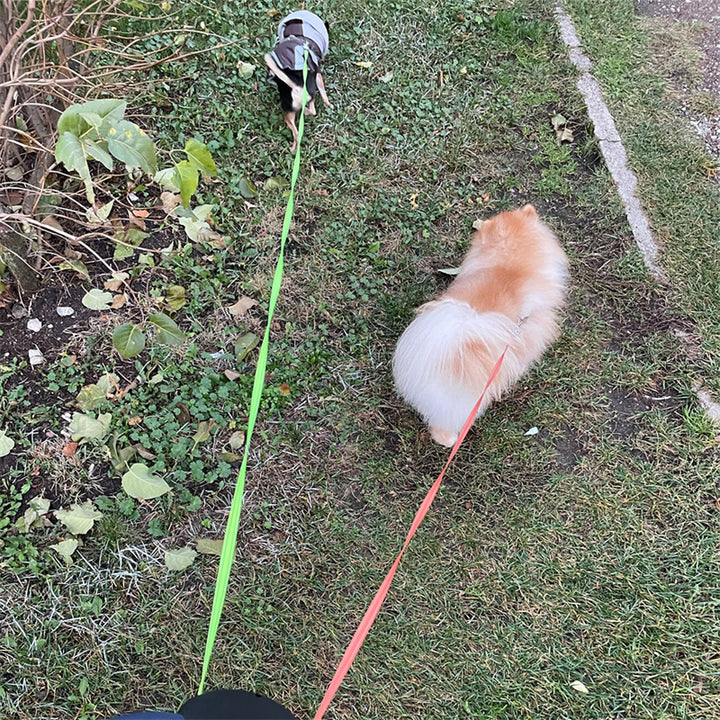 Automatische versenkbare Hundeleine für zwei Hunde